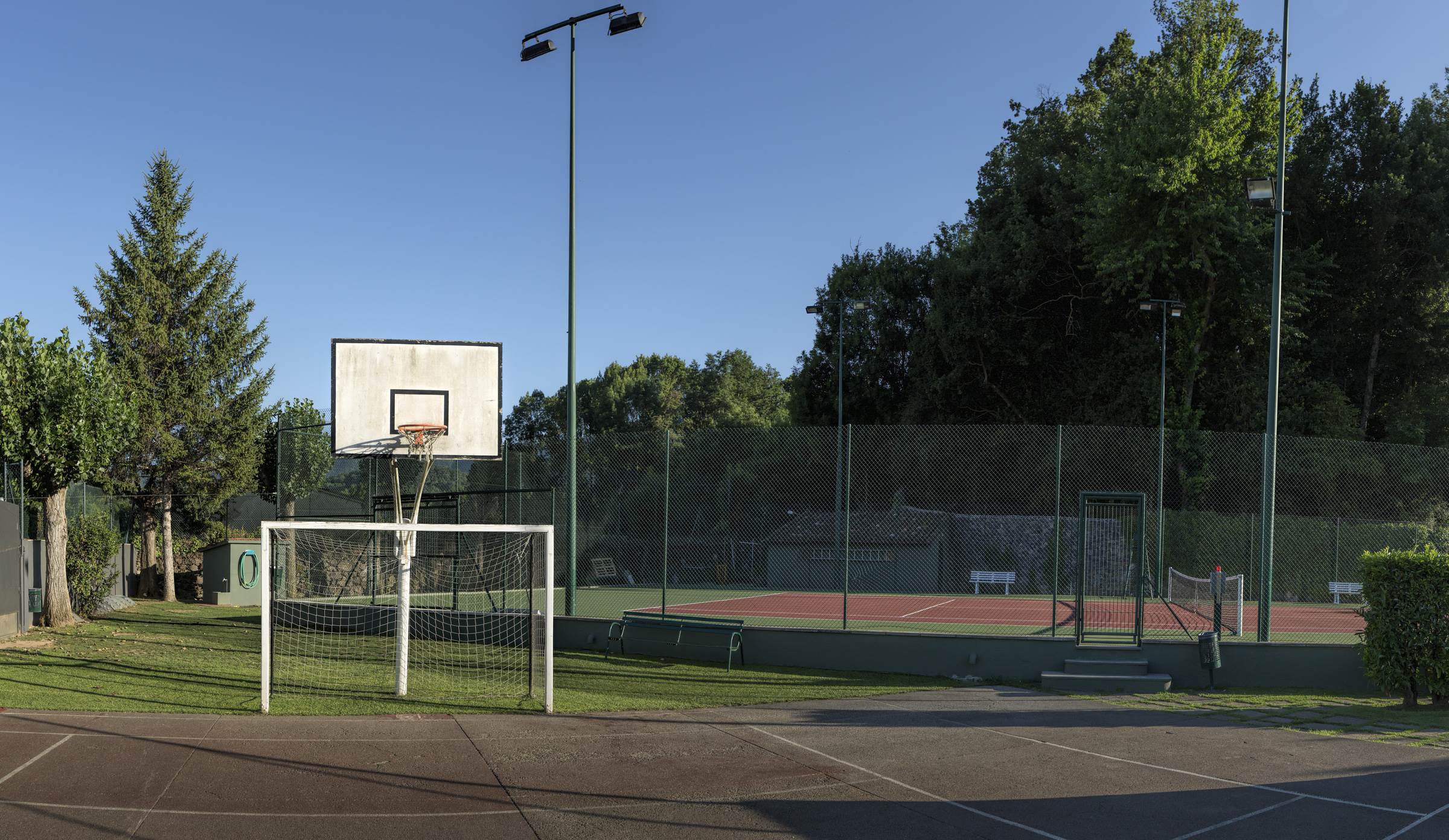 Tenis 